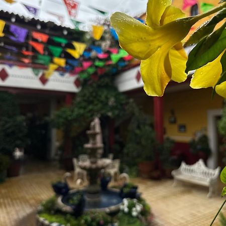 Copa De Oro Hotel Boutique 마스코타 외부 사진