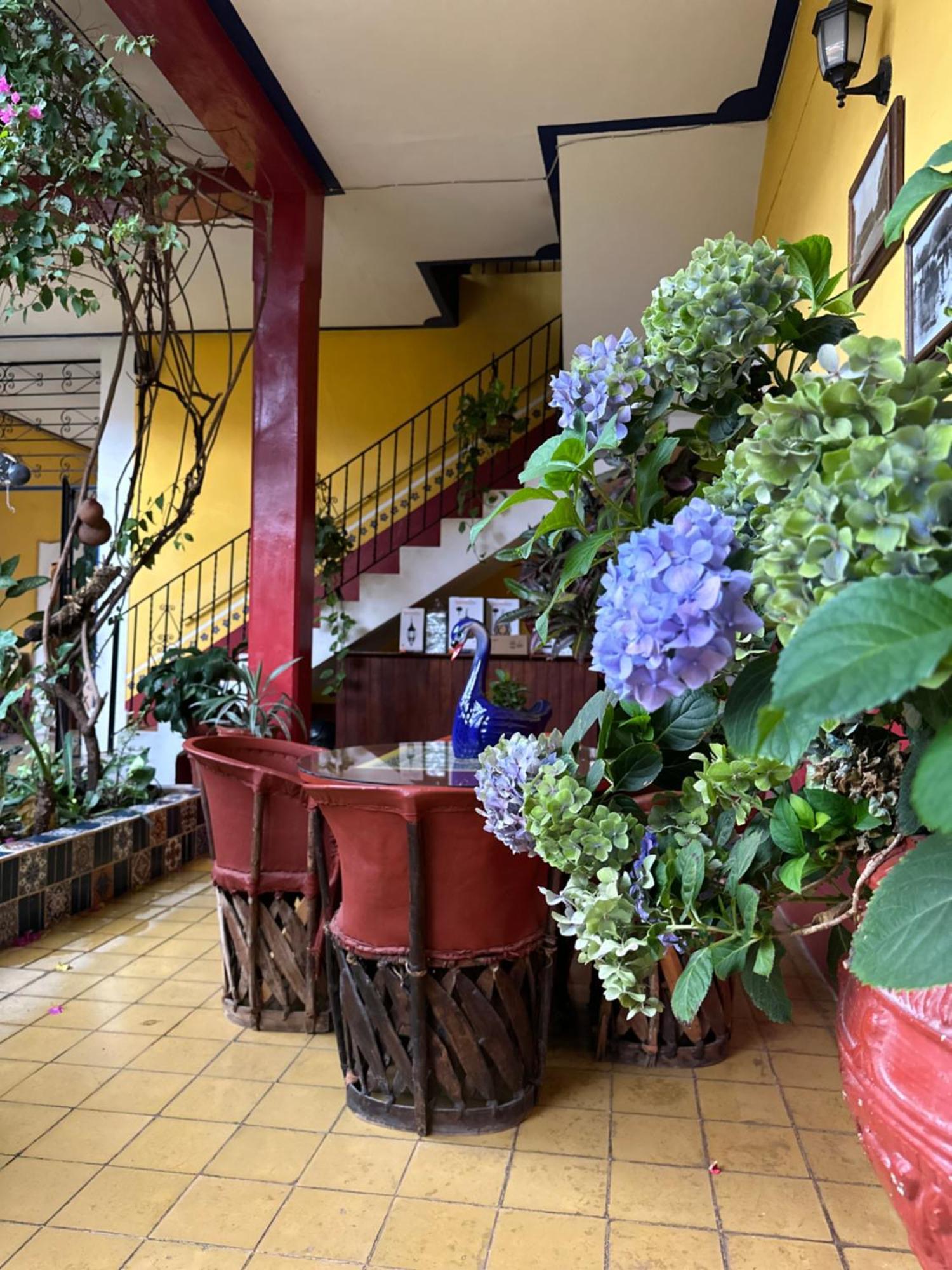 Copa De Oro Hotel Boutique 마스코타 외부 사진