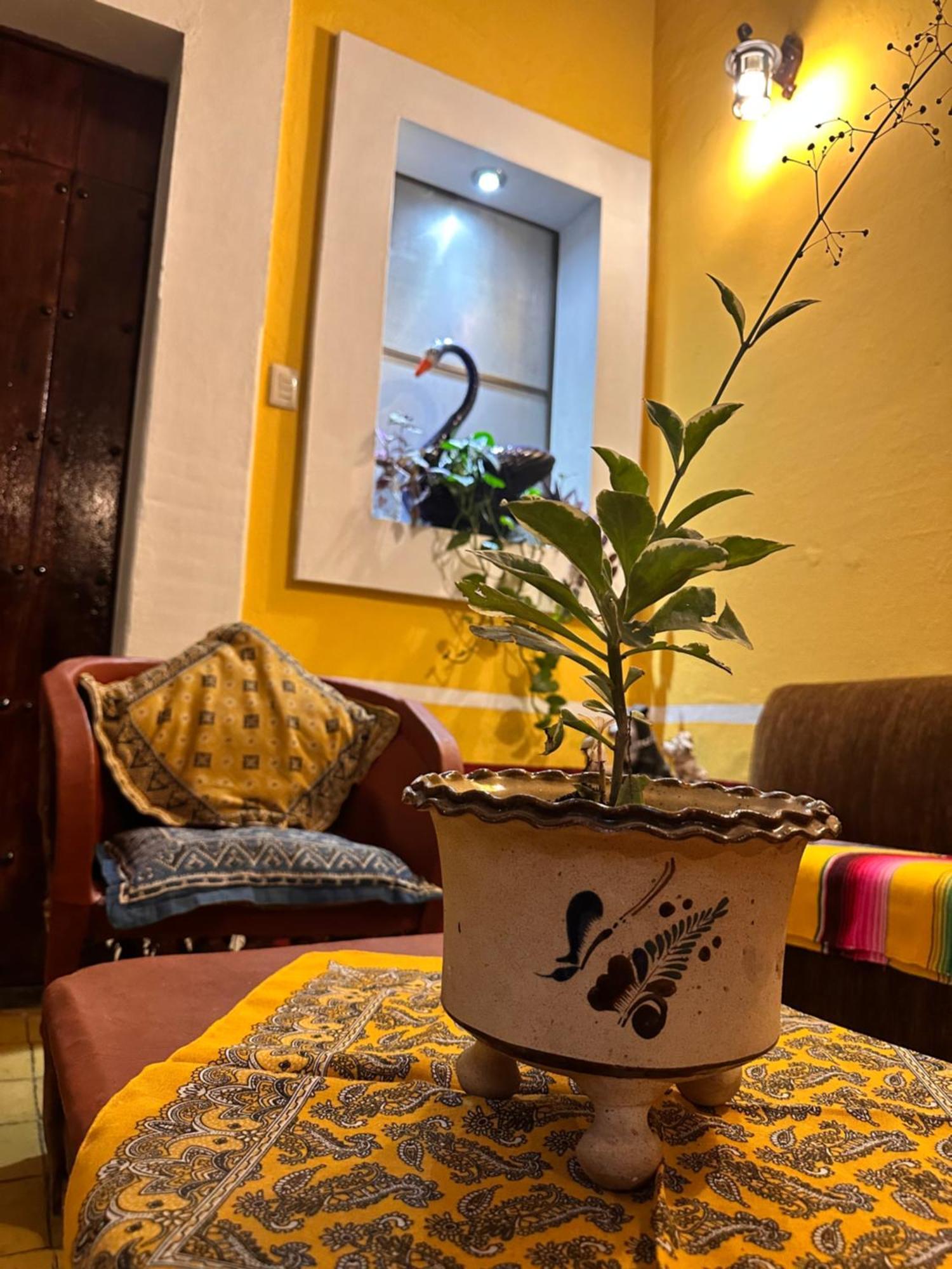 Copa De Oro Hotel Boutique 마스코타 외부 사진