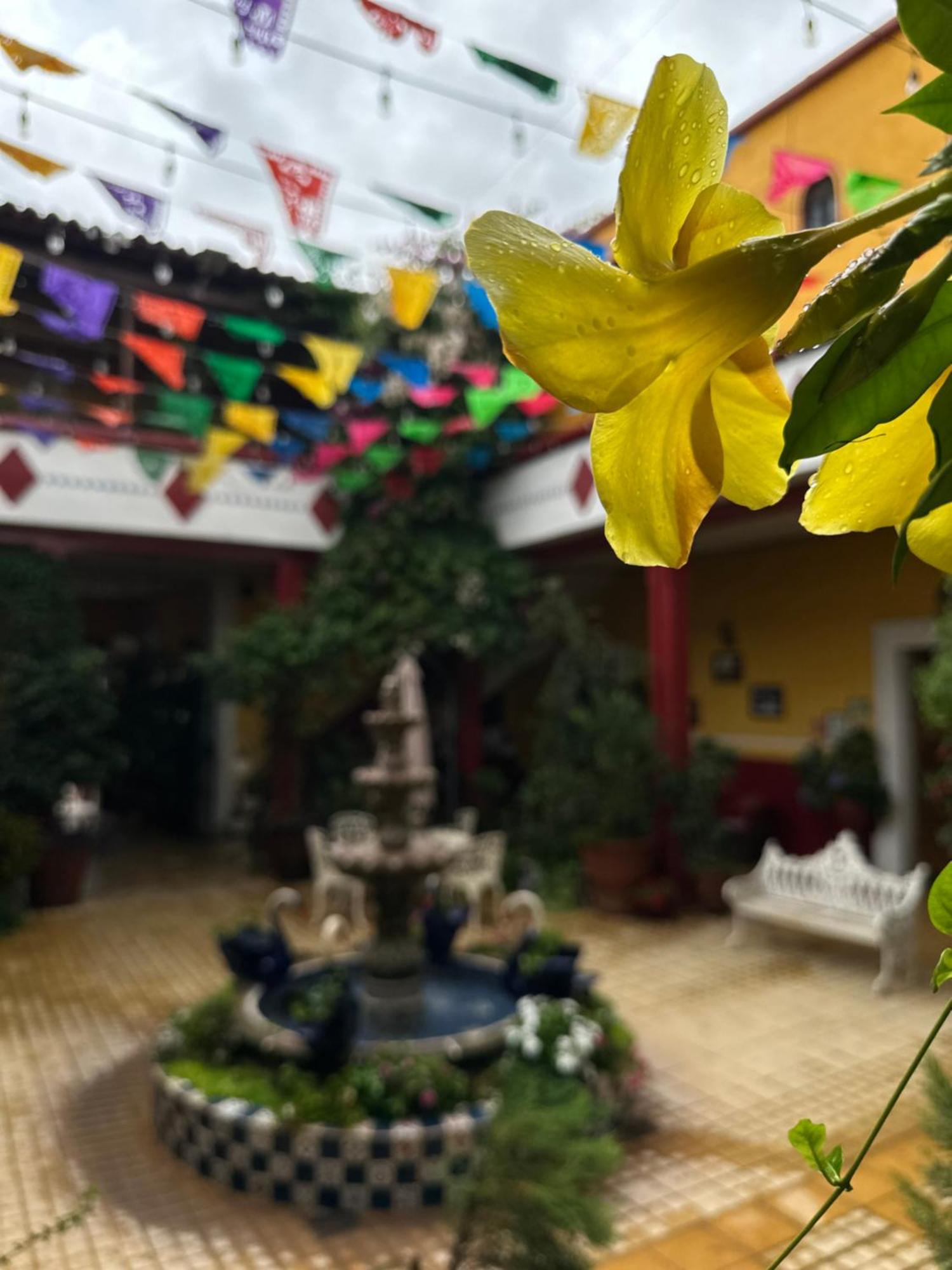 Copa De Oro Hotel Boutique 마스코타 외부 사진