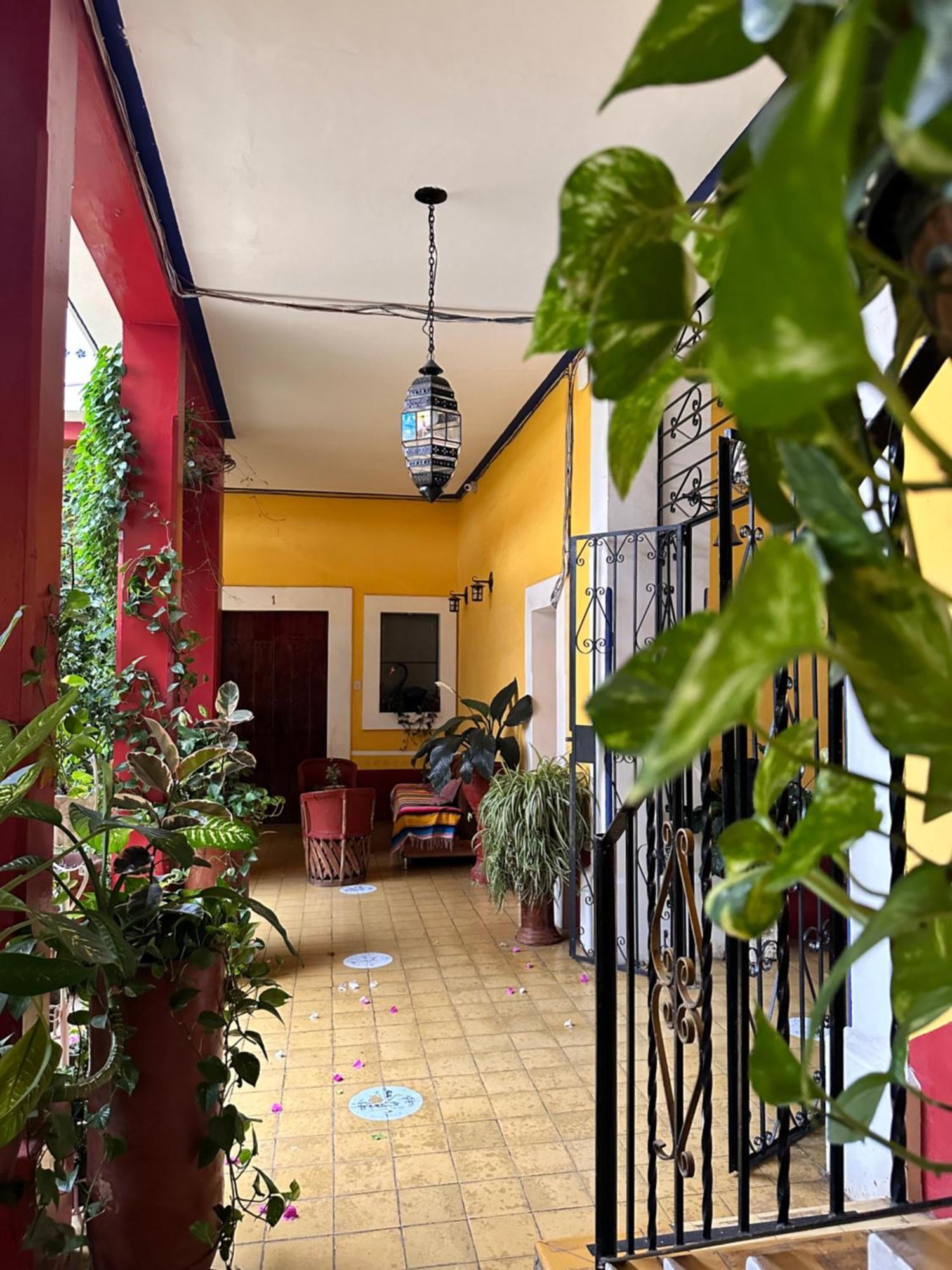 Copa De Oro Hotel Boutique 마스코타 외부 사진